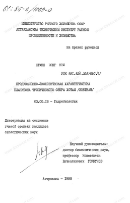 планктон планктон