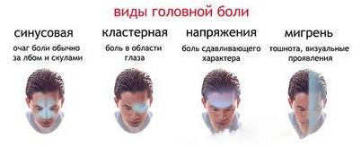 биологических действиях биологических действиях