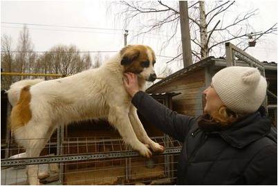 области исследования