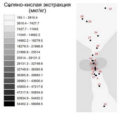 морских водорослей