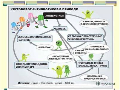 могут работать могут работать