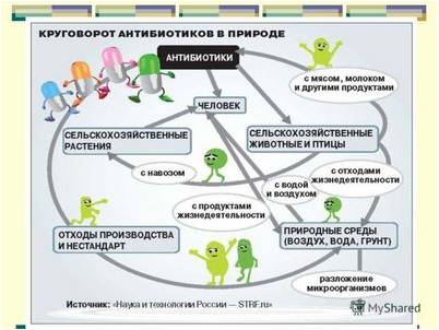 могут работать