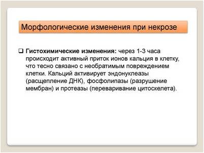 клетка клетка