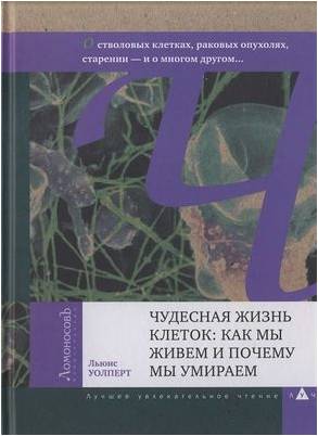 химия поверхности и нанотехнология взаимосвязь и перспективы 2004