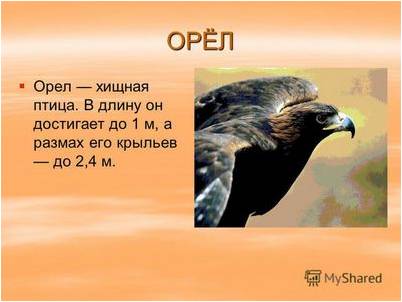 ароматный ароматный