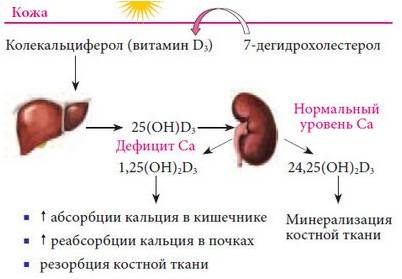 крем