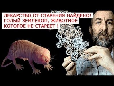 отсутствие одежды