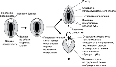 управление управление