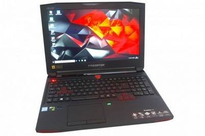 acer acer